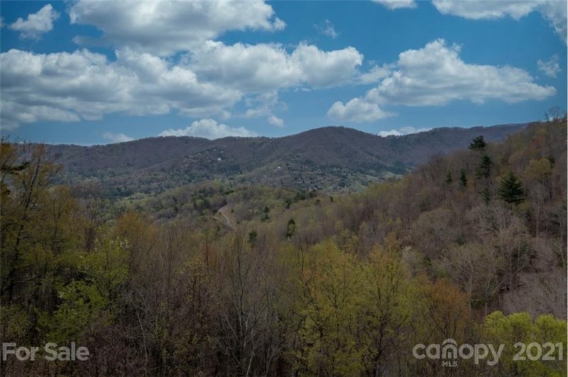 Property image 2 at 103 Bartrams Walk Drive, Asheville, NC 28804