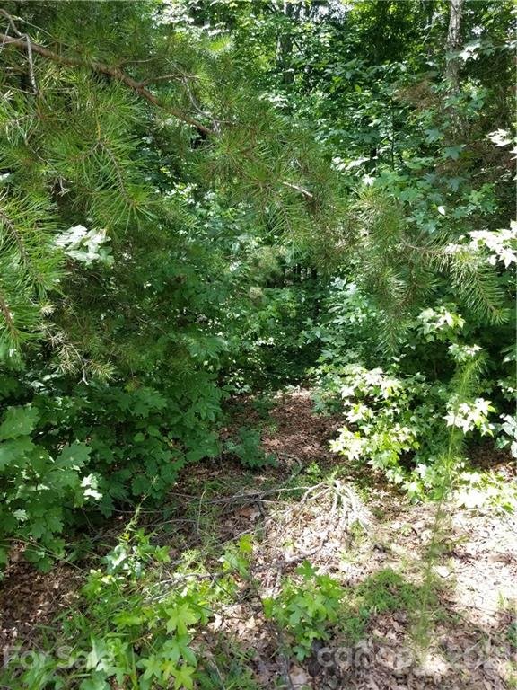 Property image 3 at Lot 19 Maple Spring Court, Denver, NC 28037