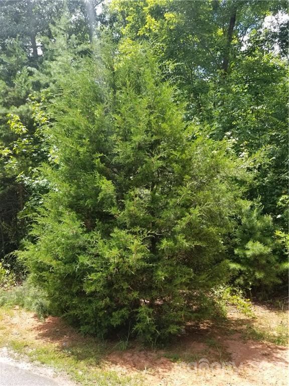 Property image 4 at Lot 19 Maple Spring Court, Denver, NC 28037