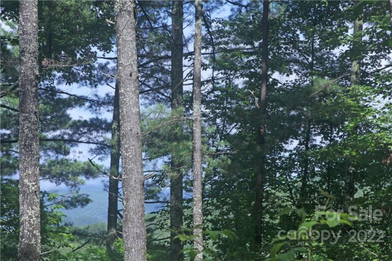 Property image 3 at Lots 10 11 14 Bear Pen Hollow Road, Brevard, NC 28712