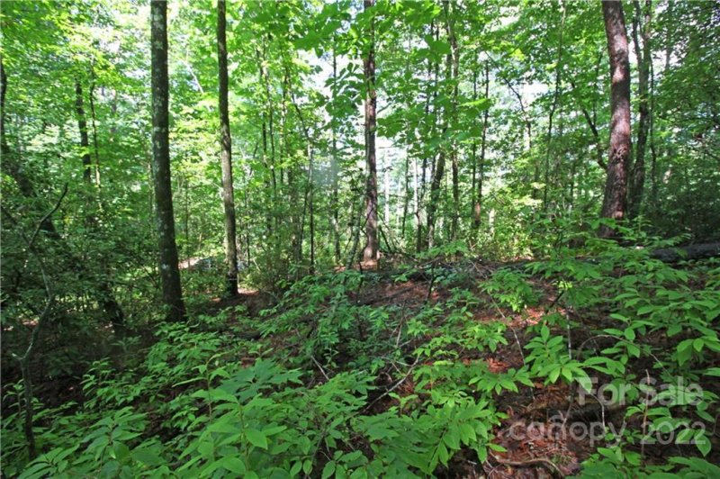 Property image 4 at Lots 10 11 14 Bear Pen Hollow Road, Brevard, NC 28712