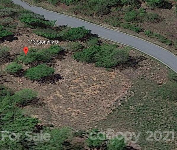 Property image 2 at 113 Stonefly Drive, Horse Shoe, NC 28742