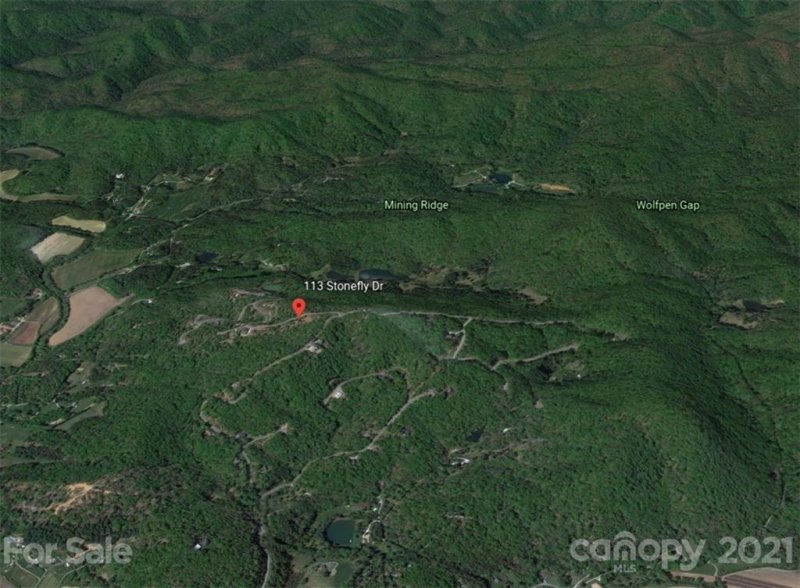 Property image 3 at 113 Stonefly Drive, Horse Shoe, NC 28742