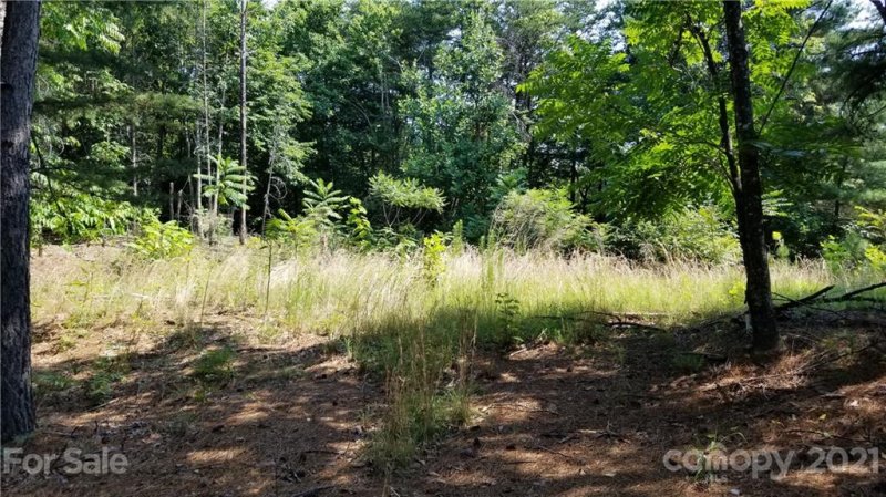 Property image 4 at 318 Arbra Mountain Way, Bostic, NC 28018