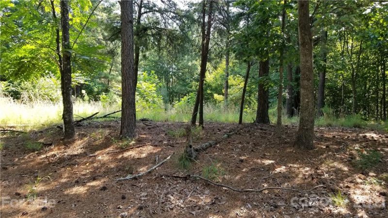 Property image 5 at 318 Arbra Mountain Way, Bostic, NC 28018