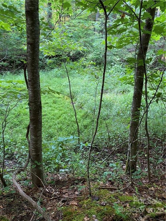 Property image 2 at U 8 Blueberry Hill Road, Brevard, NC 28712