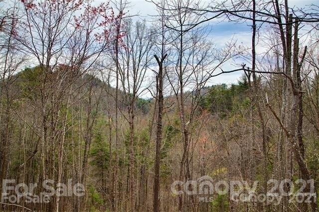 Property image 5 at 229 Starling Pass, Asheville, NC 28804