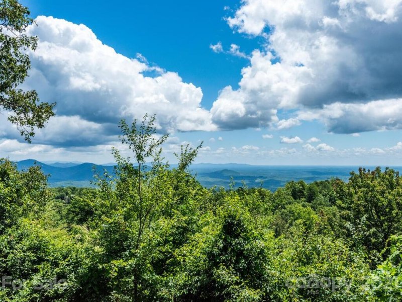 Property image 4 at 195 Martin Court, Lake Lure, NC 28746