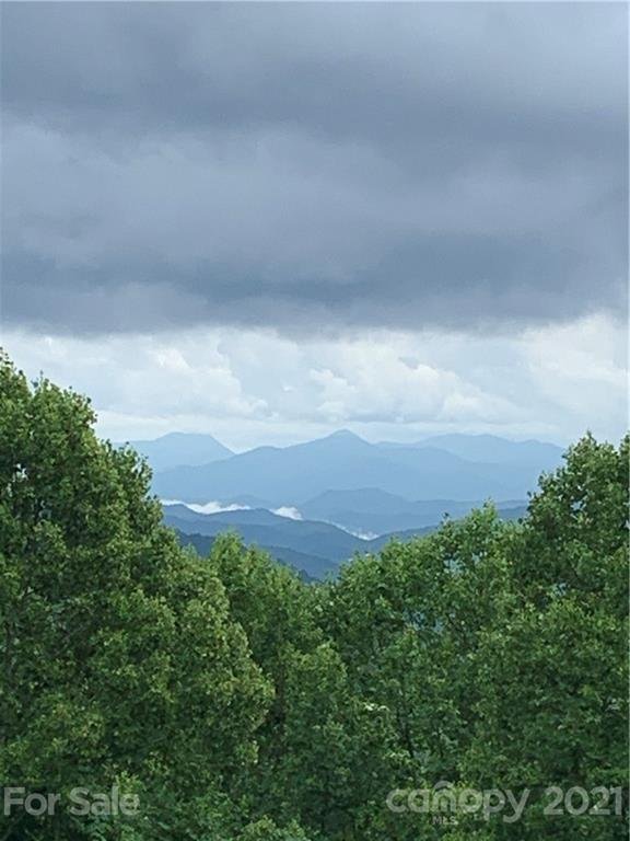 Property image 4 at 645 Deerfield Drive, Hot Springs, NC 28743