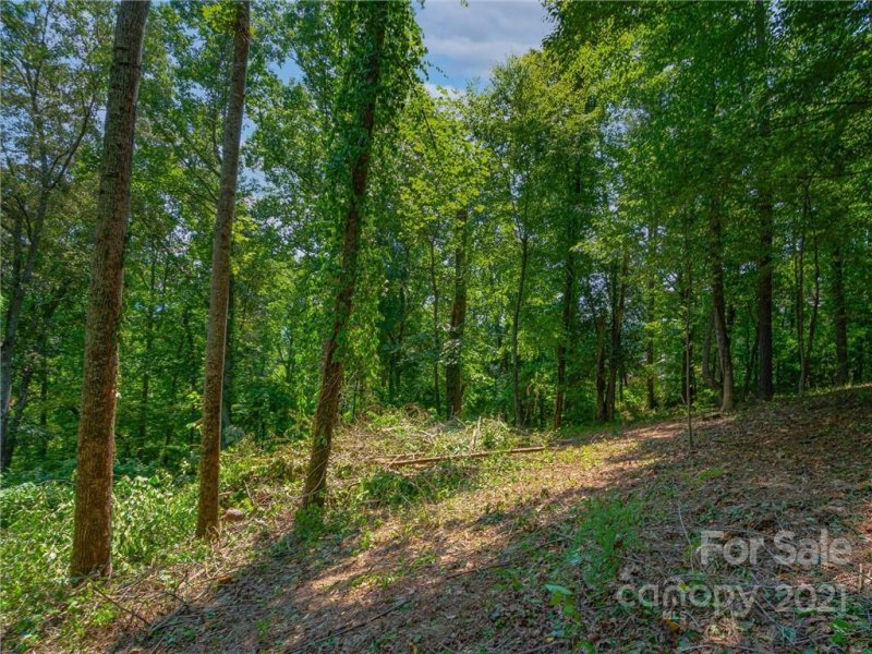 Property image 3 at 61 Bradford Vista, Fletcher, NC 28732