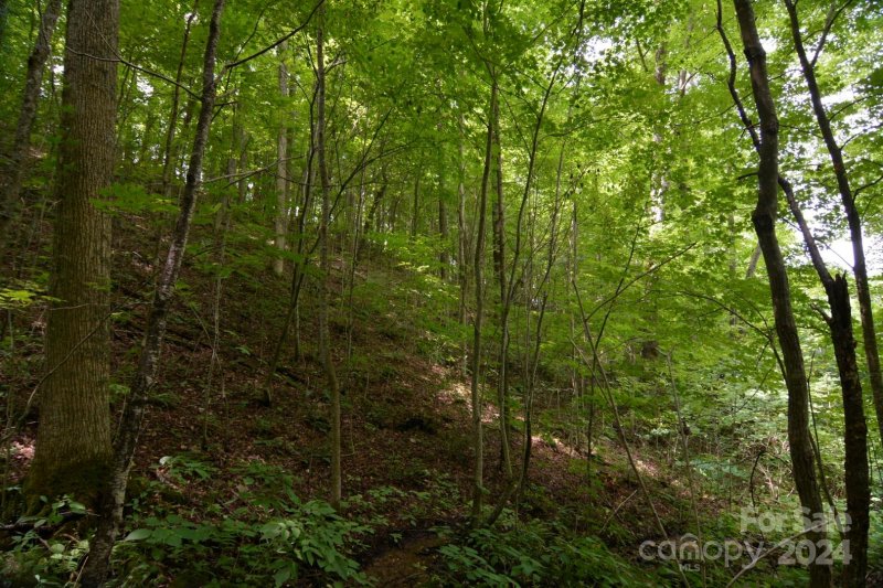 Property image 5 of 00 Little Pond Pass in Red Wolf Run, Mars Hill, NC 28754