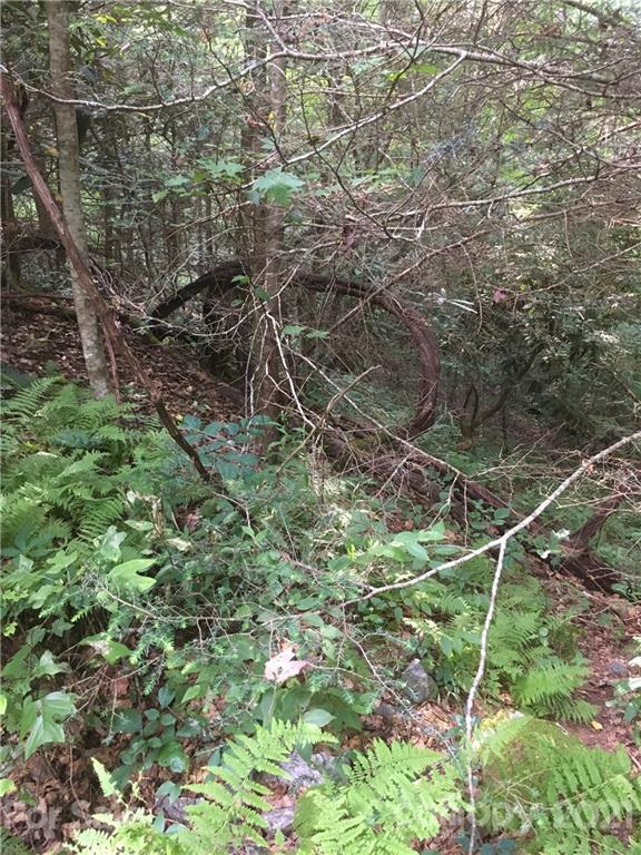 Property image 4 at 41 Falling Glen Drive, Waynesville, NC 28785