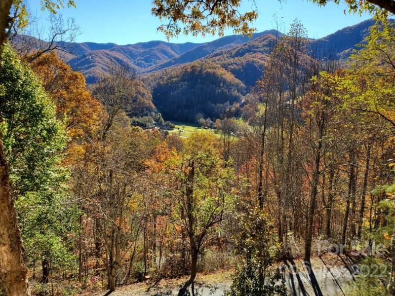 Property image 2 at 145 Laurel Hill None, Whittier, NC 28789