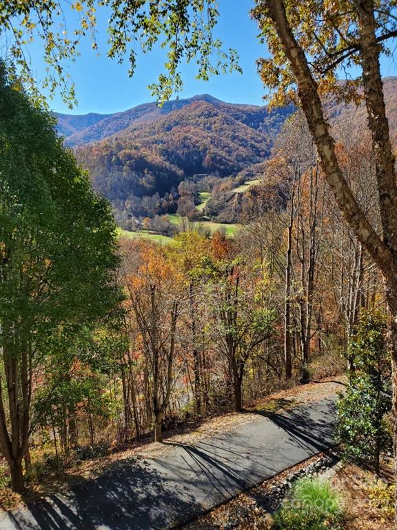 Property image 4 at 145 Laurel Hill None, Whittier, NC 28789