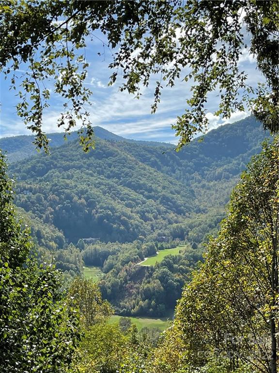 Property image 5 at 145 Laurel Hill None, Whittier, NC 28789