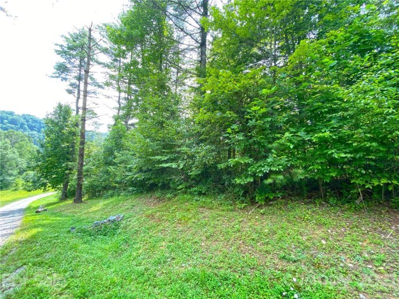 Property image 2 at 159 Sunnyside Drive, Marshall, NC 28743