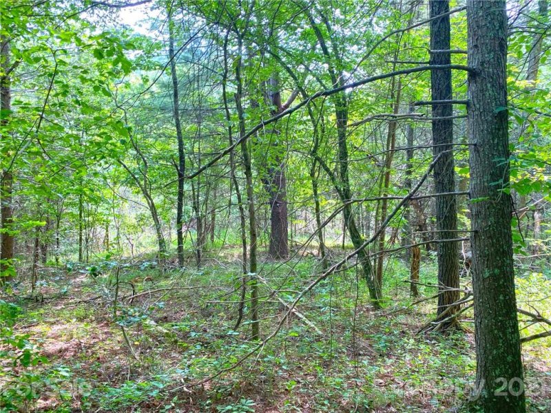 Property image 3 at 159 Sunnyside Drive, Marshall, NC 28743