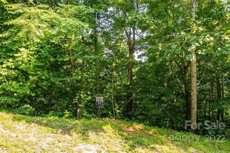 Property image 2 at 36117 Pisgah View Drive, Marion, NC 28752