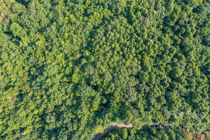 Property image 4 at 36117 Pisgah View Drive, Marion, NC 28752