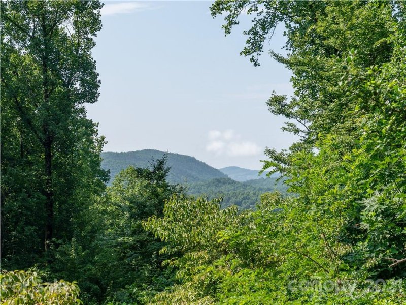 Property image 3 at 373 Lynn Crest Drive, Brevard, NC 28712