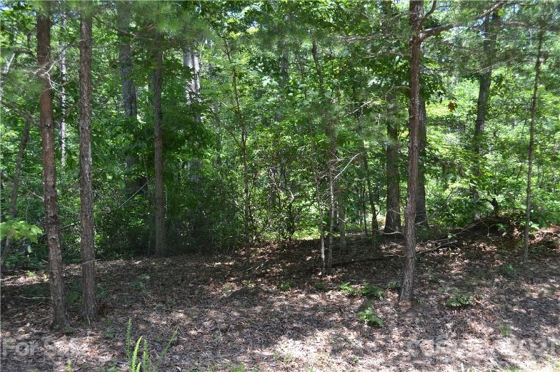 Property image 2 at 0 Spicebush Lane, Rutherfordton, NC 28139