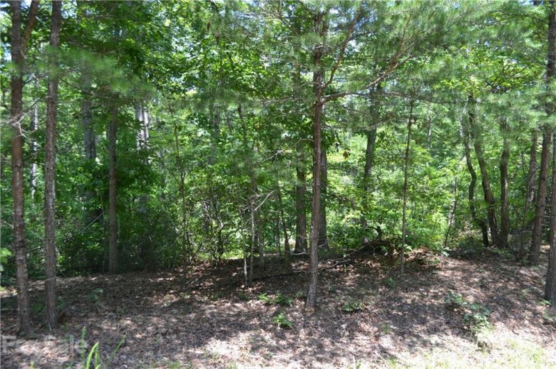 Property image 3 at 0 Spicebush Lane, Rutherfordton, NC 28139