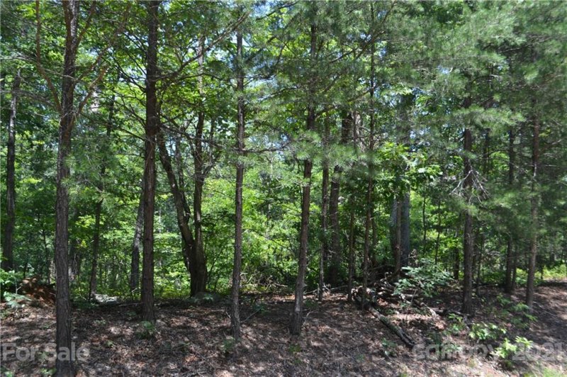 Property image 4 at 0 Spicebush Lane, Rutherfordton, NC 28139