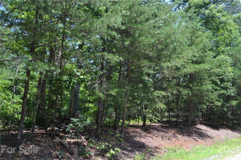 Property image 5 at 0 Spicebush Lane, Rutherfordton, NC 28139