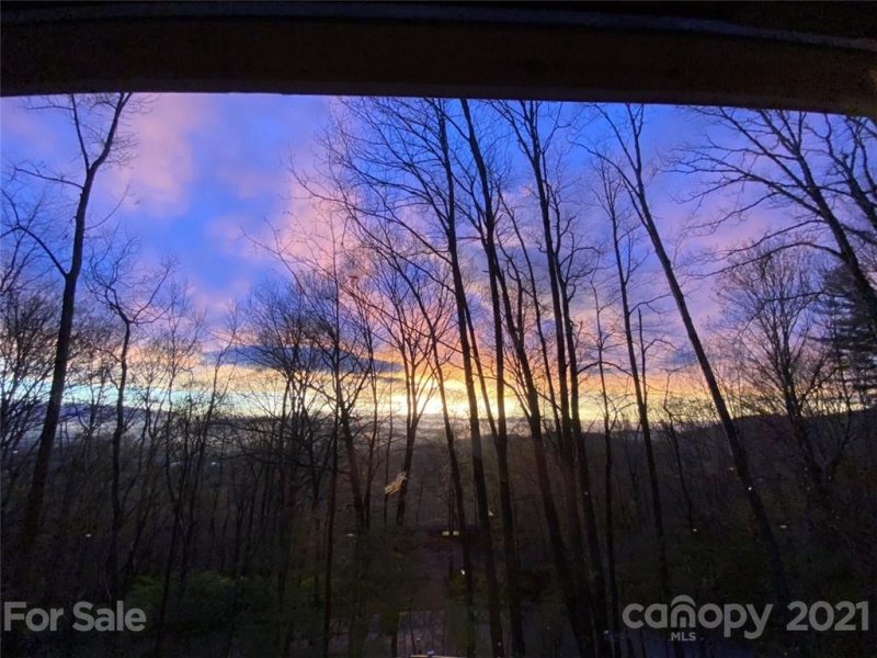 Property image 4 at 25 Blue Briar Road, Asheville, NC 28804