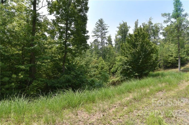 Property image 3 at Lot 3 The Vines Boulevard, Marshall, NC 28753