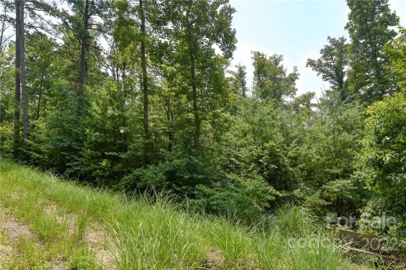 Property image 4 at Lot 3 The Vines Boulevard, Marshall, NC 28753