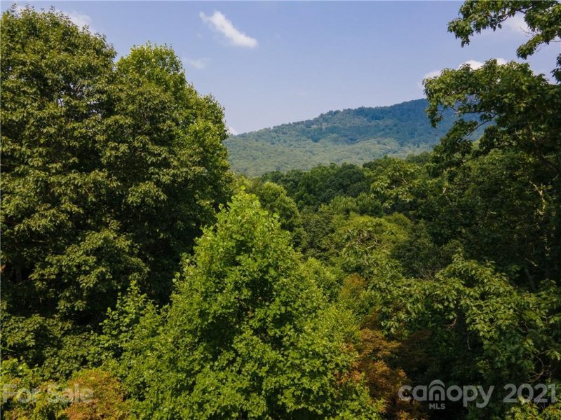 Property image 4 at 82 Windover Drive, Asheville, NC 28803