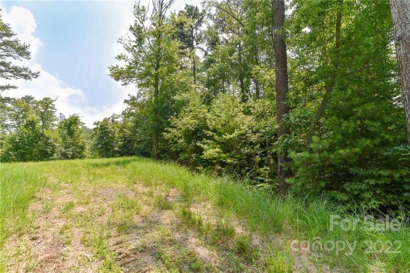 Property image 2 of Lot 4 The Vines Boulevard in The Vines, Marshall, NC 28753