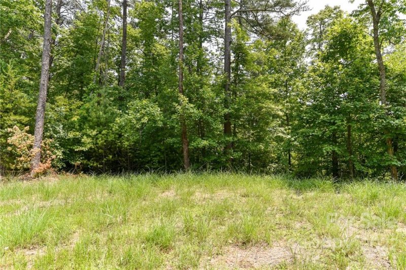 Property image 3 of Lot 4 The Vines Boulevard in The Vines, Marshall, NC 28753