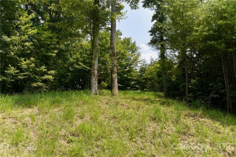 Property image 2 at Lot 5 The Vines Boulevard, Marshall, NC 28753