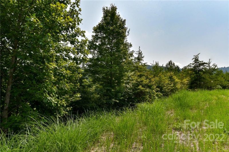 Property image 2 of 113 Chardonnay Avenue in The Vines, Marshall, NC 28753