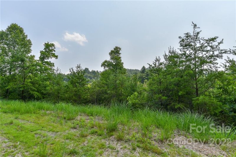 Property image 3 of Lot 11 The Vines Boulevard in The Vines, Marshall, NC 28753