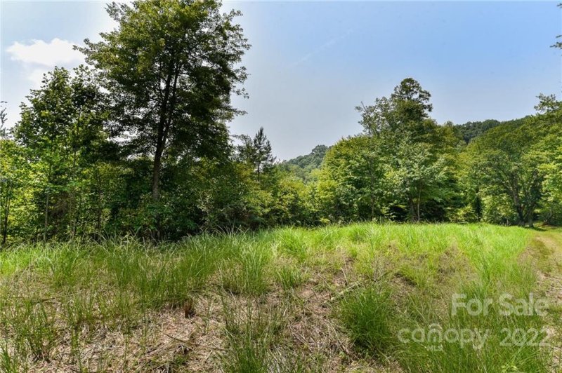 Property image 3 of 441 The Vines Boulevard in The Vines, Marshall, NC 28753