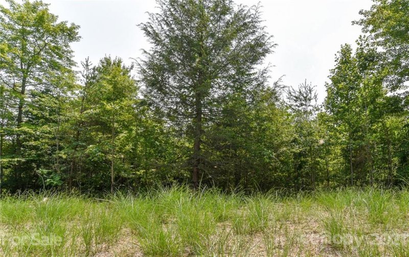 Property image 3 at 421 The Vines Boulevard, Marshall, NC 28753