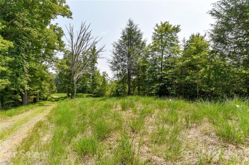 Property image 4 at 421 The Vines Boulevard, Marshall, NC 28753