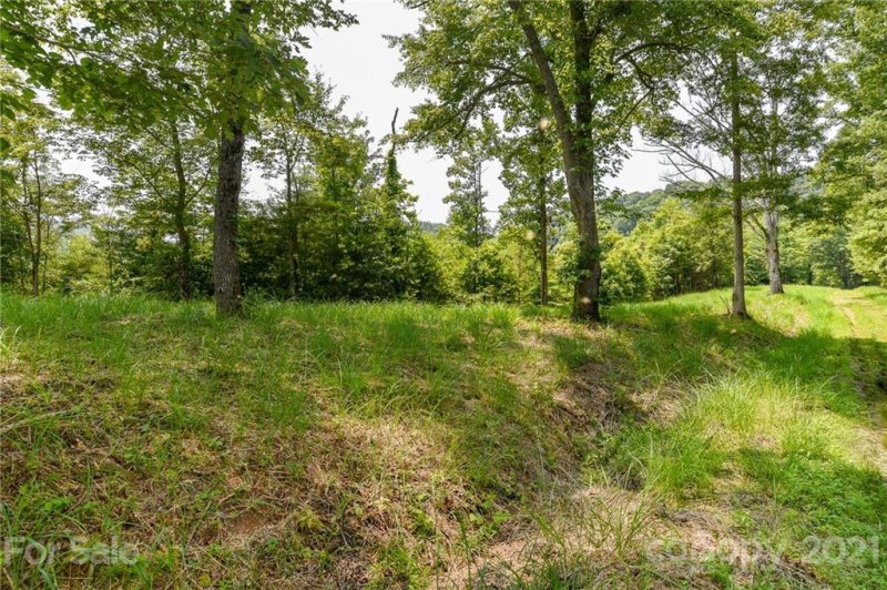 Property image 2 at 387 The Vines Boulevard, Marshall, NC 28753