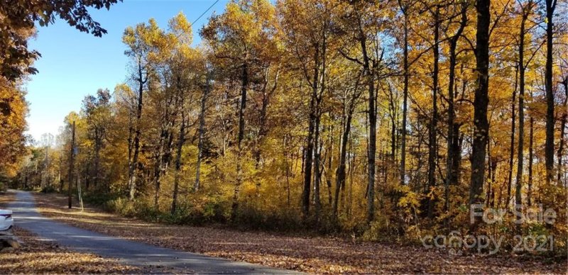 Property image 4 at 5417 Pine Ridge Drive, Connelly Springs, NC 28612