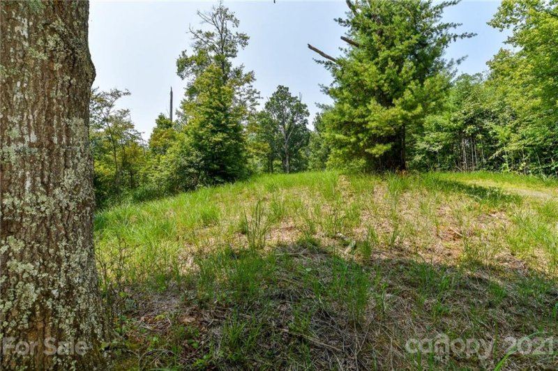 Property image 2 at 347 The Vines Boulevard, Marshall, NC 28753