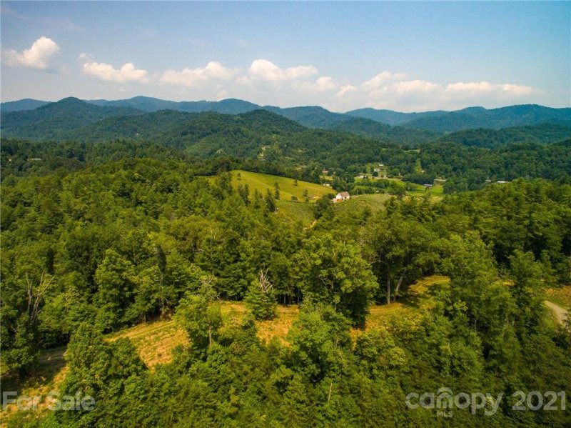 Property image 5 at 347 The Vines Boulevard, Marshall, NC 28753