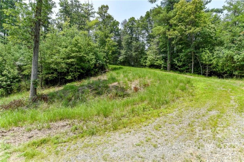 Property image 2 of 301 The Vines Boulevard in The Vines, Marshall, NC 28753