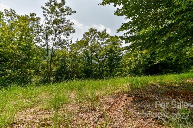 Property image 3 of 319 The Vines Boulevard in The Vines, Marshall, NC 28753