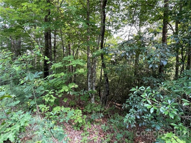 Property image 4 at Lot 10 Oak Laurel Road, Brevard, NC 28712