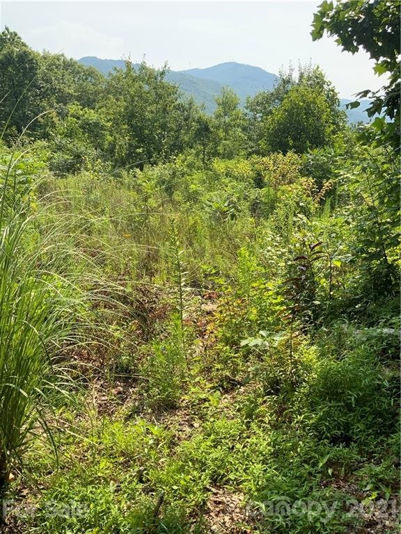 Property image 2 at 1400 Holiday Drive, Hendersonville, NC 28739