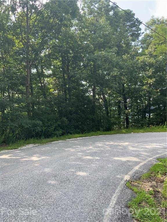 Property image 5 at 1400 Holiday Drive, Hendersonville, NC 28739