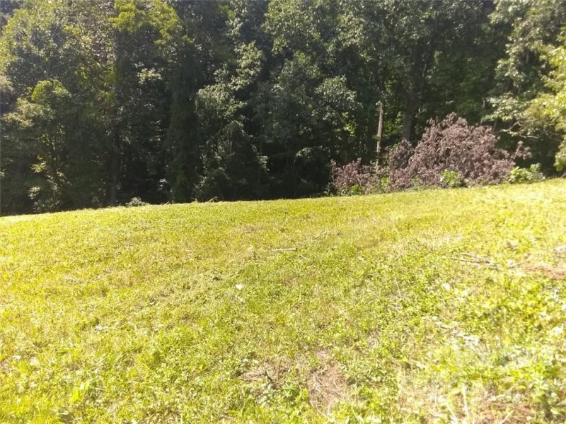 Property image 3 at 000 Halsbury Avenue, Hendersonville, NC 28791